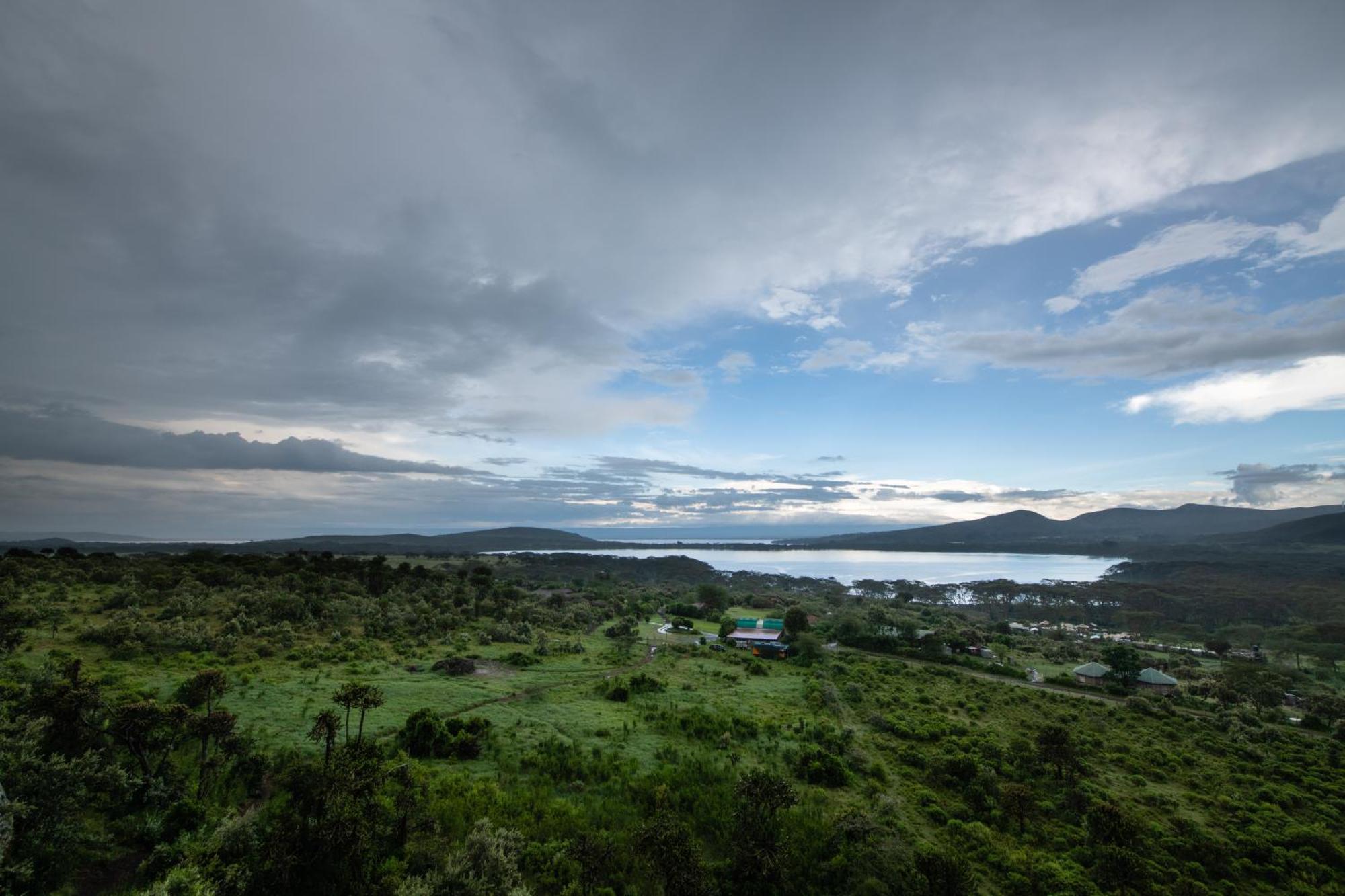 Naivasha Kongoni Lodge - Lakefront Getaway Ngoại thất bức ảnh